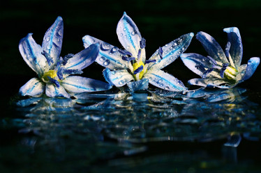 Similar image 10528389