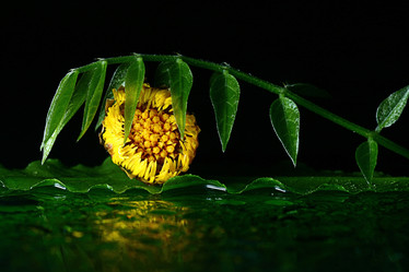 Similar image 10528392