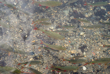 Similar image 10528626