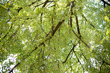 Similar image 10528631