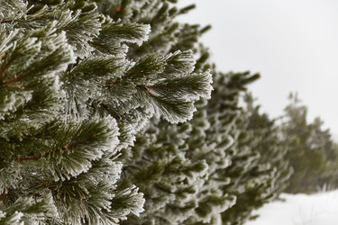 Similar image 10528669