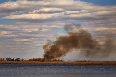 Similar image 10528671