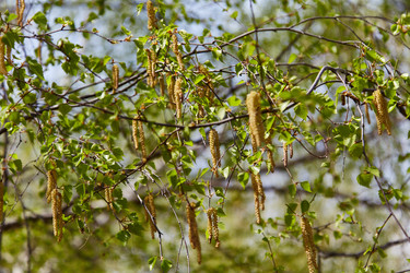 Similar image 10528675