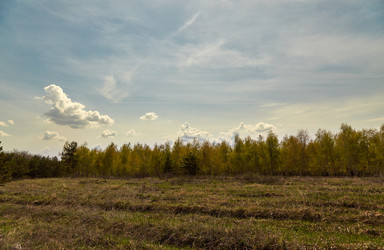 Similar image 10528676