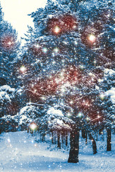 Similar image 10528744