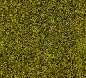 Similar image 10528751