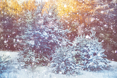 Similar image 10528767