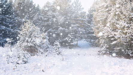 Similar image 10528782