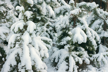 Similar image 10528784