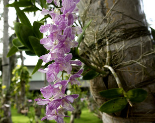 Similar image 10528901