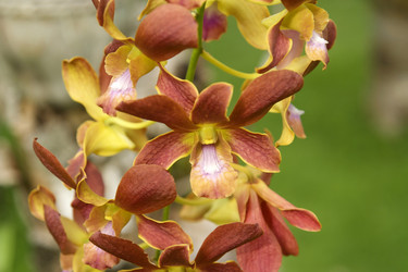 Similar image 10528903