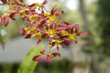 Similar image 10528904