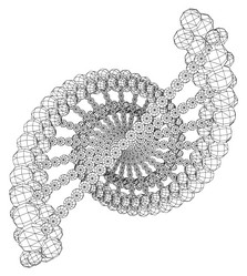 Similar image 10528944