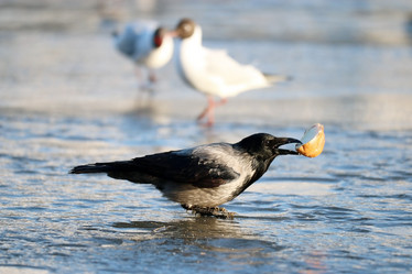 Similar image 10529026