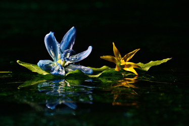 Similar image 10529027