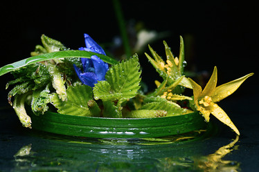 Similar image 10529032