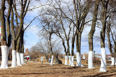 Similar image 10529033