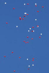 Similar image 10529039