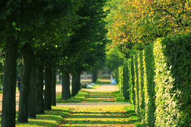 Similar image 10529087