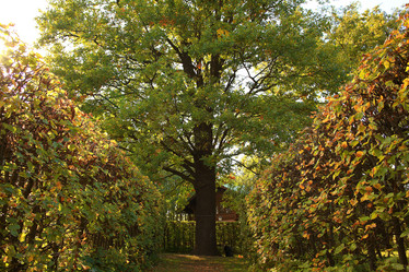 Similar image 10529089