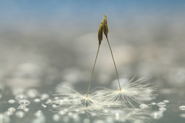 Similar image 10529095