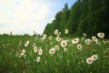 Similar image 10529099