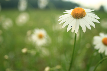 Similar image 10529100