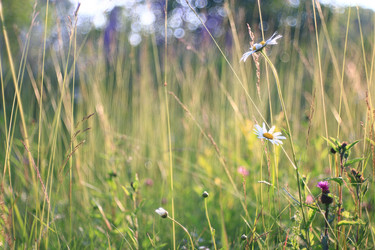 Similar image 10529101