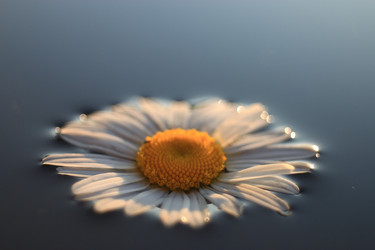 Similar image 10529102