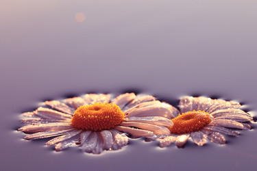 Similar image 10529104