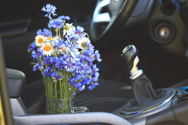 Similar image 10529108