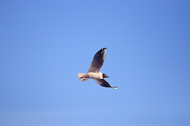 Similar image 10529141