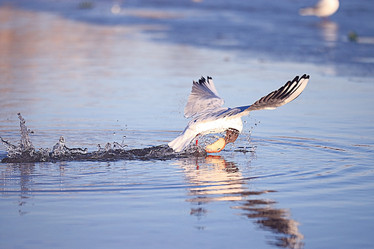 Similar image 10529143