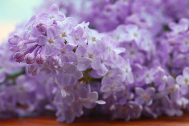 Similar image 10529148