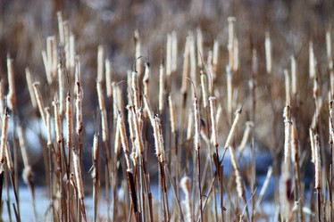 Similar image 10529153