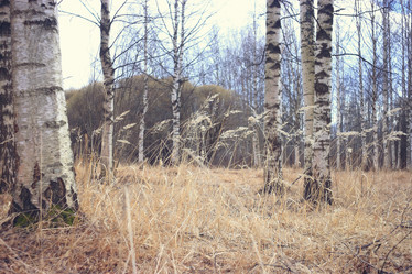 Similar image 10529158