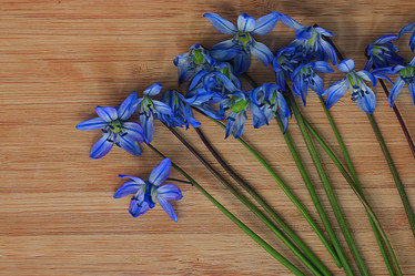 Similar image 10529165