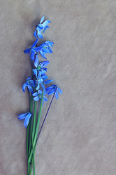 Similar image 10529166