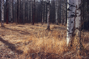 Similar image 10529170