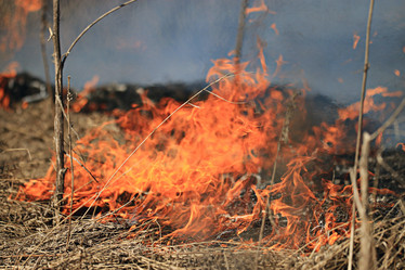 Similar image 10529181