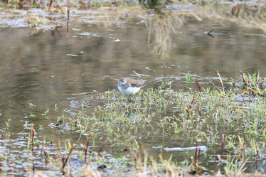 Similar image 10529195