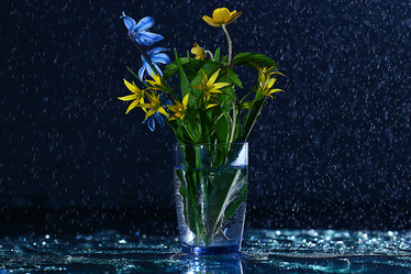 Similar image 10529200