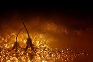 Similar image 10529202