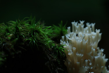 Similar image 10529204