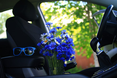 Similar image 10529207