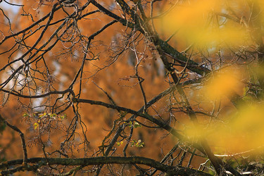 Similar image 10529215