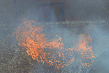 Similar image 10529231