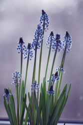 Similar image 10529236