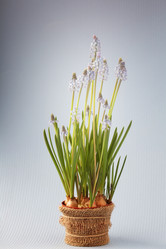 Similar image 10529238