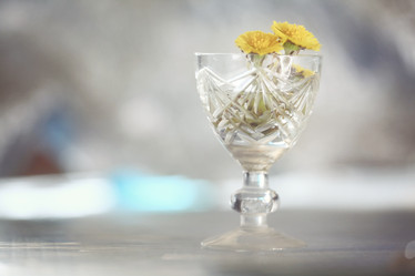 Similar image 10529252